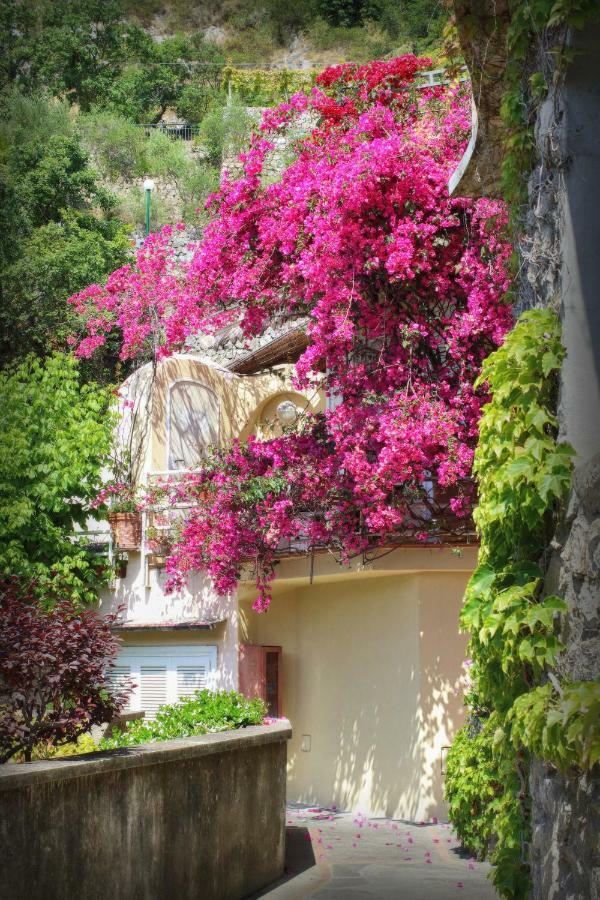 Venus Apartment Positano Buitenkant foto